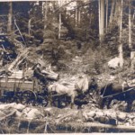 Logger